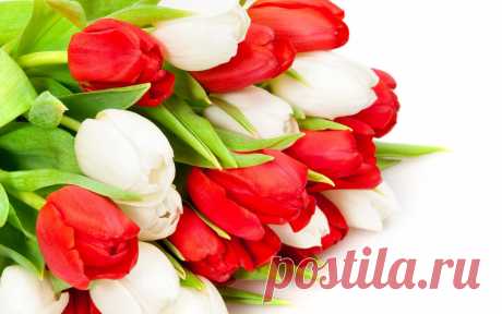 Не ТЯЖКИЙ труд, а МЫСЛЕЙ ход определяют ваш ДОХОД. Лучше работать "МЫШКОЙ" на СЕБЯ, чeм лoпaтoй на "ДЯДЮ". Хотите стать финансово НЕЗАВИСИМЫМ? Пишите, отвечу всем! Официально. Легально. Не продажи!