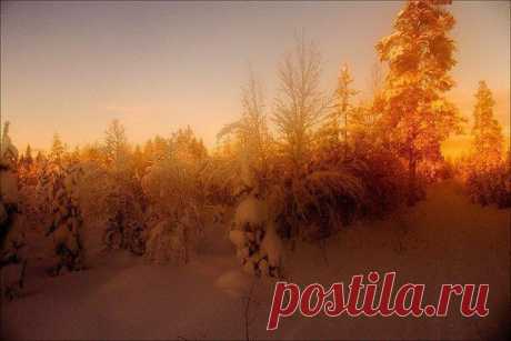 (1) Facebook