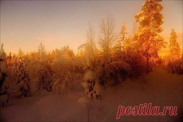 (1) Facebook