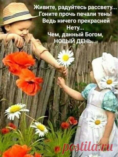 (1) Pinterest