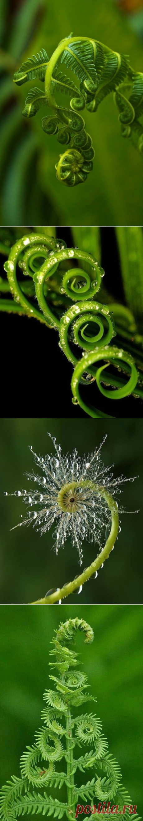 Красота | Colors.life