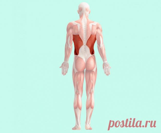 Как найти слабые места в здоровье и жизни / Будьте здоровы