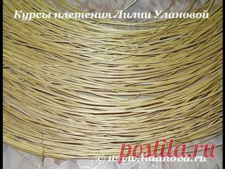 когда и как заготавливать лозу для плетения корзин - 43 ролика. Поиск Mail.Ru