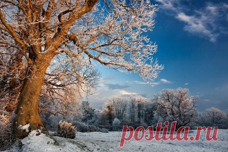1X - Winter Evening by Gary McParland