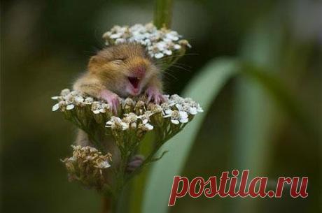 Эй,я самодостаточный...А ты хочешь также