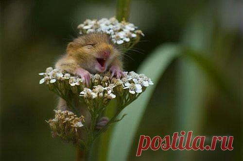 Эй,я самодостаточный...А ты хочешь также