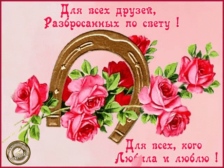 504910405907148.gif (800×600)
