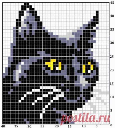 рисунок котика для вязания – Google Поиск
