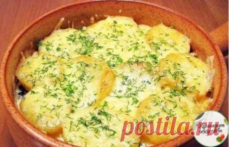 Запеканка с грибами и картофелем 
Запеканка с грибами вкуснее банального пюре с грибной подливой, а готовится даже проще!
Вам потребуется:
350 г свежих или замороженных грибов (опята, шампиньоны, лисички, белые и т.д.)
600 г картофеля
150 г лука
150 г сыра (полутвердого или твердого)
сметана (10-20%) или майонез
растительное масло
соль
перец
Как готовить:
1. Грибы отварить до готовности (опята около 30 минут после закипания).
2. Картофель отварить до готовности. Лук нарезать полук