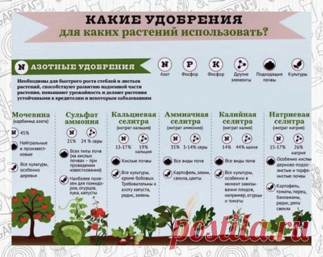 Запись на стене Проект «GARDEN» - много маленьких хитростей&#928;&#7439;&#652;езная&#8195;инф&#7439;&#961;&#653;ация&#8195;на&#8195;за&#653;ет&#312;y&#8195;дачни&#312;а&#653;