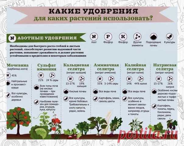 Запись на стене Проект «GARDEN» - много маленьких хитростейΠᴏʌезная инфᴏρʍация на заʍетĸy дачниĸаʍ