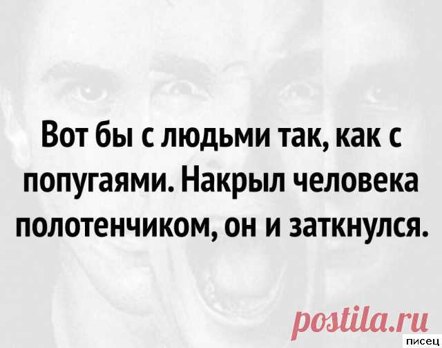 18 отличнейших цитат, которые прямо в точку! / Писец - приколы интернета
