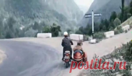 «Ява 360». Самый киногеничный
К 1970-м на «Явах» ездил каждый третий советский мотоциклист, и неудивительно, что чехословацкие мотоциклы очень часто попадали в кадр. Главная же роль в советском кино досталась Jawa 360: именно на этой модели Геша Козодоев везет на рыбалку на Белую скалу Семена Семеновича Горбункова.
