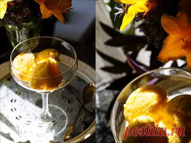 Мороженое из манго - Будет вкусно - 13 марта - 43046077440 - Медиаплатформа МирТесен