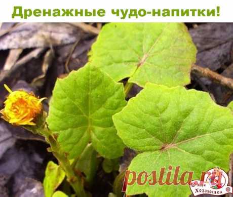 (64) Одноклассники
