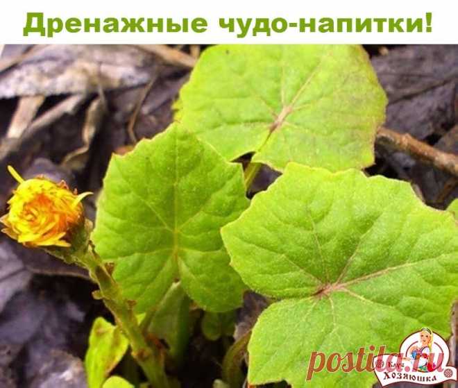 (64) Одноклассники