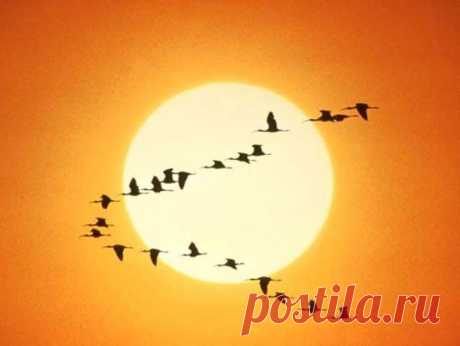 Народные приметы октября, смотреть погоду в Казахстане онлайн