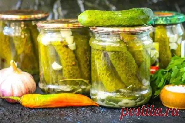 Рассказываем 20 самых вкусных рецептов, как приготовить огурцы с горчицей на зиму - Дизайн и дом - 3 мая - 43131432860 - Медиаплатформа МирТесен