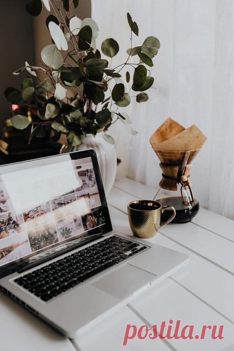 Жена — недоблогерша
Сначала мы вместе посмеивались над повальным явлением писать всё, что в голову придёт, в сети. Я говорила, что блогер — это тот, кто ведёт блог. А тот, кто просто пишет муть, он блохер. Но всё же Дзен меня спровоцировал. Вариант разведения демагогии в комментариях чужих каналов никогда не привлекал, поэтому завела свой. Вместо лаконичных заметок […]
Читай дальше на сайте. Жми подробнее ➡