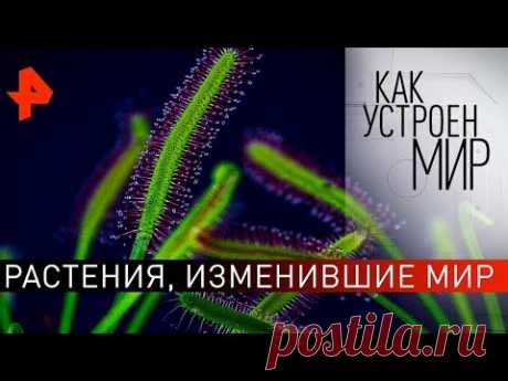 Растения, изменившие мир. "Как устроен мир" с Тимофеем Баженовым (03.03.20).