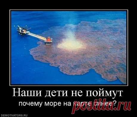 Вот так и живем | Обхохочешься