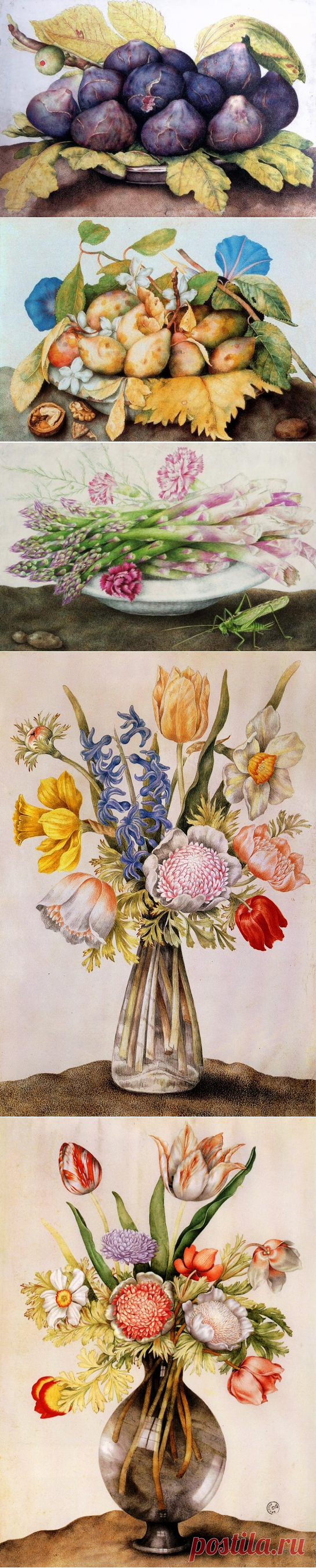 Джованна Гарцони – художница эпохи барокко и её великолепные букеты и натюрморты