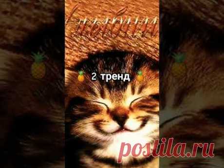 танцуй если знаешь этот новый тренд 2023 года