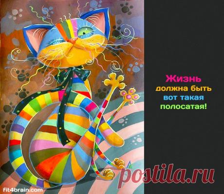 Жизнь должна быть вот такая полосатая!