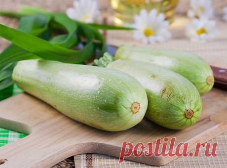 ПОЛЬЗА И ВРЕД КАБАЧКОВ. ДАЖЕ НЕ ПОДОЗРЕВАЛА, ЧТО ЭТОТ ОВОЩ КАТЕГОРИЧЕСКИ НЕЛЬЗЯ УПОТРЕБЛЯТЬ… — Домашние заботы