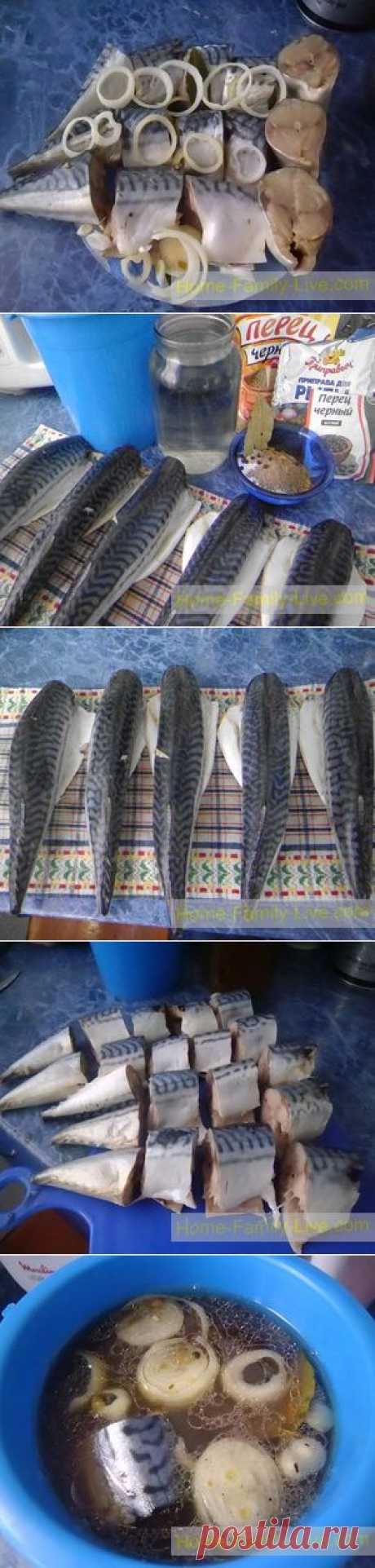 Соленая скумбрия - Кулинарные рецепты Скумбрия
Вода кипяток 1 литр
Соль 5 ст л
Черный перец горошком 5 шт
Перец душистый горошком 5 шт
Лавровый лист 2 шт
Приправа для рыбы 1 ст л
Лук репчатый 1 шт
Read more: https://home-family-live.com/zakuski/solenaya-skumbriya/#ixzz2ySkL9p6z