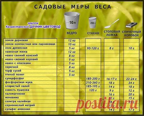 (51) Одноклассники