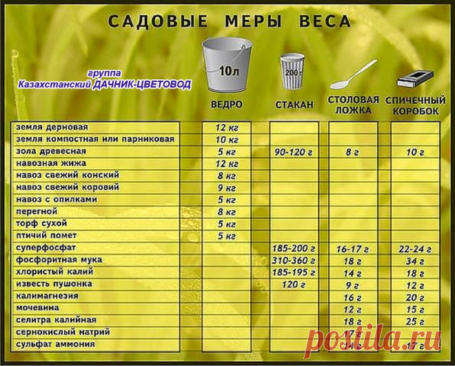 (51) Одноклассники