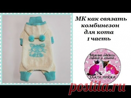 34. МК Как связать комбинезон коту ч1