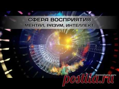 Сфера восприятия. Ментал, Разум, Интеллект - YouTube