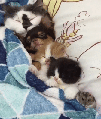 Воскресное утро должно быть именно таким! 💗