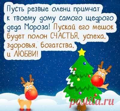 Стихи На Новый Год Про Елочку (87 Лучших) | Всё о детях и семье
