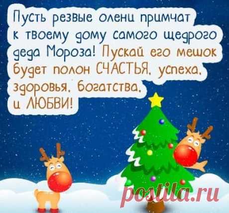 Стихи На Новый Год Про Елочку (87 Лучших) | Всё о детях и семье