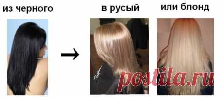Осветление темных волос своими руками в домашних условиях: осветляющий шампунь, краска осветлитель, чем лучше осветлить, видео-инструкция, фото и цена