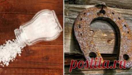 ОБРЯДЫ СЧАСТЬЯ И УДАЧИ НА РУСИ  


 



На Руси верили, что привлечь удачу можно с помощью выполнения определенных обрядов и использования нужных талисманов. Это настолько прочно вошло в быт и в сознание, что люди верят, что некото…