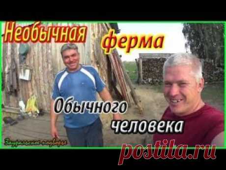 На ферме у Александра /Необычное хозяйство/Деревенская жизнь