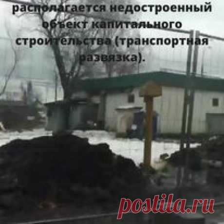 Путепровод Фрунзе-Мира незаконно пройдёт по национальному парку "Лосиный остров"