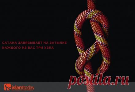 «Сатана завязывает на затылке каждого из вас три узла...» Что это за узлы и как их развязать? Услышал хадис, в котором говорится: «Сатана завязывает на затылке каждого из вас три узла...». Если такой хадис на самом деле и что он означает? Заранее благодарю за ответ.