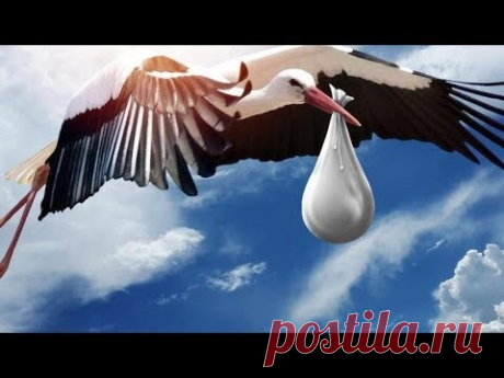 Музыкальное  поздравление  для бабушки, у которой родилась догожданная внучка.
С юмором, в стихах и прозе.