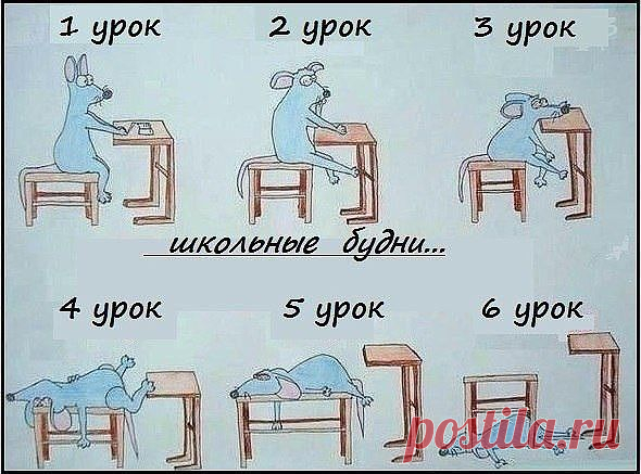 Школьные будни