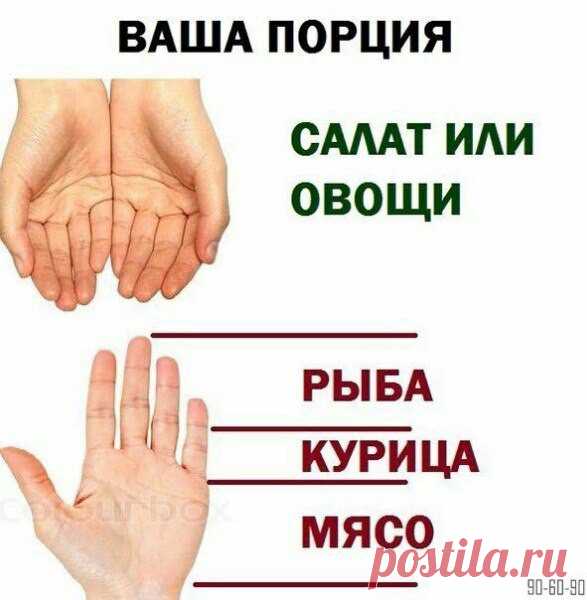 Правильное питание - определяем размер порции и бжу без весов