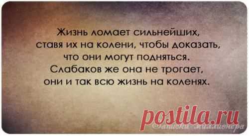 Новости