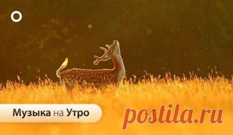 Летние Эмоции