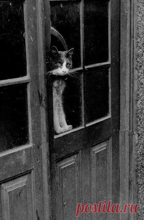 Когда старая жизнь рушится, а новая ещё не наладилась, нет места лучше родного дома....... Сколько бы лет тебе ни исполнилось................