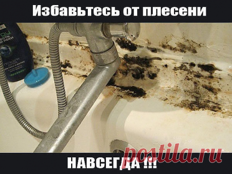 Как избавиться от плесени и грязных швов между плиткой? Плесень - это невероятно опасная гадость, которая появляется зачастую ванной, независимо от того, насколько часто и тщательно мы убираем. Многие долго бьются над вопросом: как избавиться от плесени и грязных швов между плиткой, но, перепробовав массу средств, так и не получают, к сожалению, нужного результата. 

Но так было до сих пор, пока вы не знали простого и эффективного средства, которое вам поможет навсегда изб...