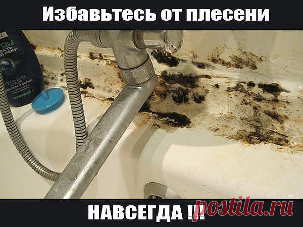 Как избавиться от плесени и грязных швов между плиткой? Плесень - это невероятно опасная гадость, которая появляется зачастую ванной, независимо от того, насколько часто и тщательно мы убираем. Многие долго бьются над вопросом: как избавиться от плесени и грязных швов между плиткой, но, перепробовав массу средств, так и не получают, к сожалению, нужного результата. 

Но так было до сих пор, пока вы не знали простого и эффективного средства, которое вам поможет навсегда изб...